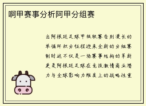 啊甲赛事分析阿甲分组赛